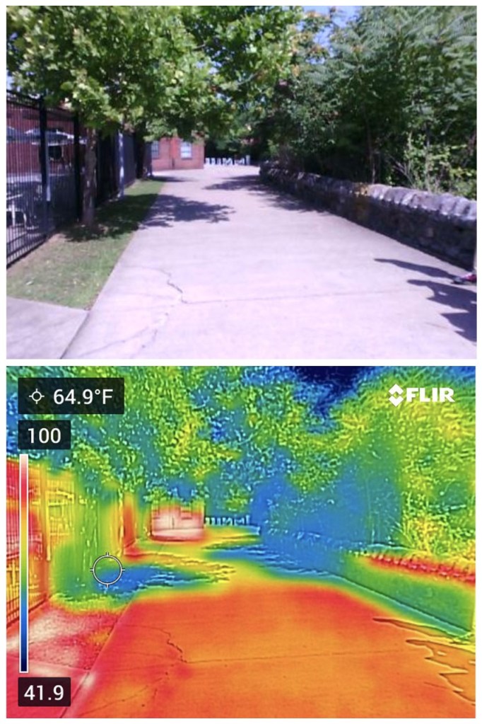 As part of their Urban Heat Youth Fellows research project, Middle Tennessee State University professors Alisa Hass and Adelle Monteblanco had research participants observe heat in the Metro Nashville, Tenn., city environment using a FLIR thermal imaging camera. (Photos courtesy of Adelle Monteblanco)
