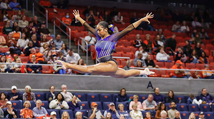 Fisk gymnast wins national honors