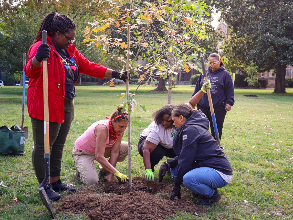 Over 250 Trees to be Planted at Root Nashville’s Fall Planting Party